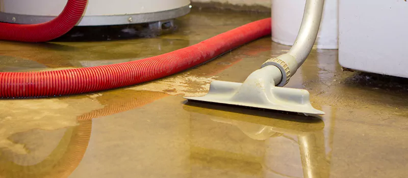 Professional Sewer Backup Cleanup Services in New Toronto, Toronto