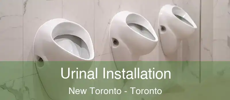  Urinal Installation New Toronto - Toronto